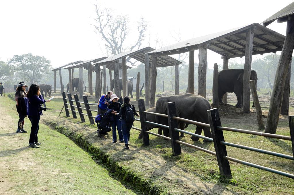 Green Park Chitwan Sauraha Esterno foto