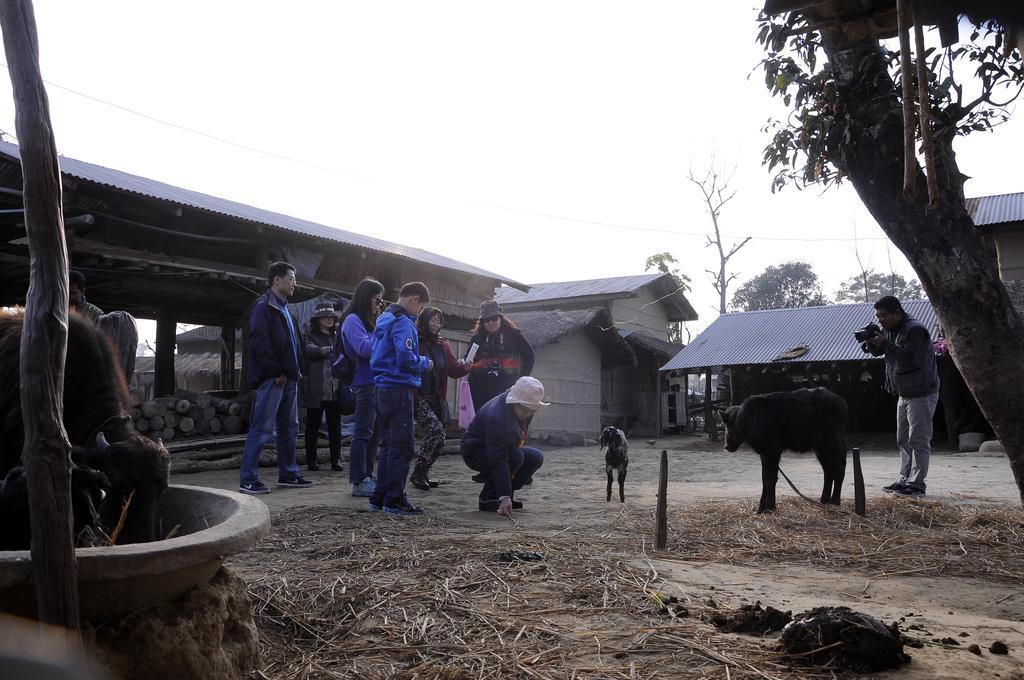 Green Park Chitwan Sauraha Esterno foto