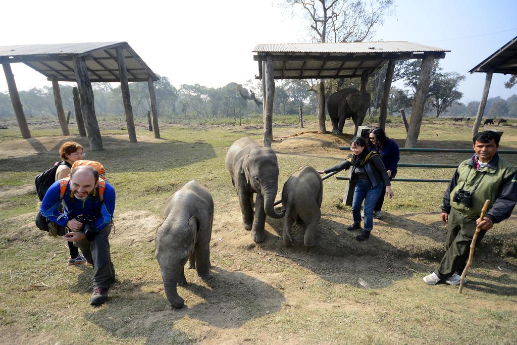 Green Park Chitwan Sauraha Esterno foto