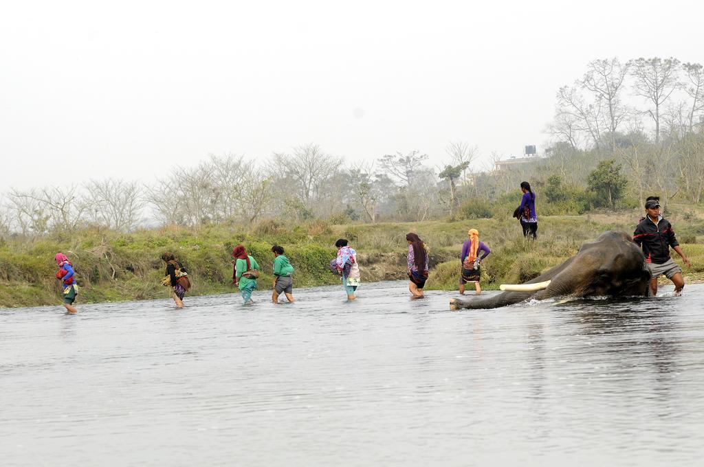 Green Park Chitwan Sauraha Esterno foto
